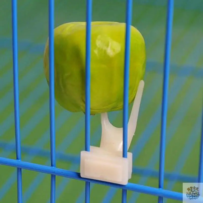 Bird fruit fork Barking Mad