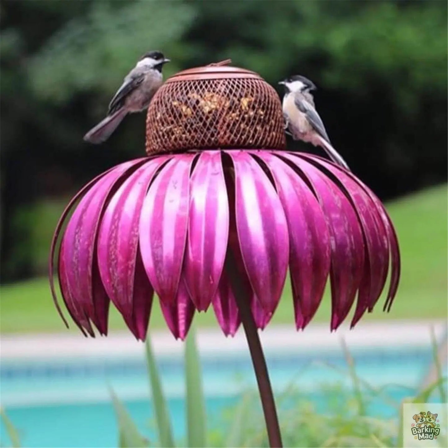 Garden Petal Shape Bird Feeder Barking Mad