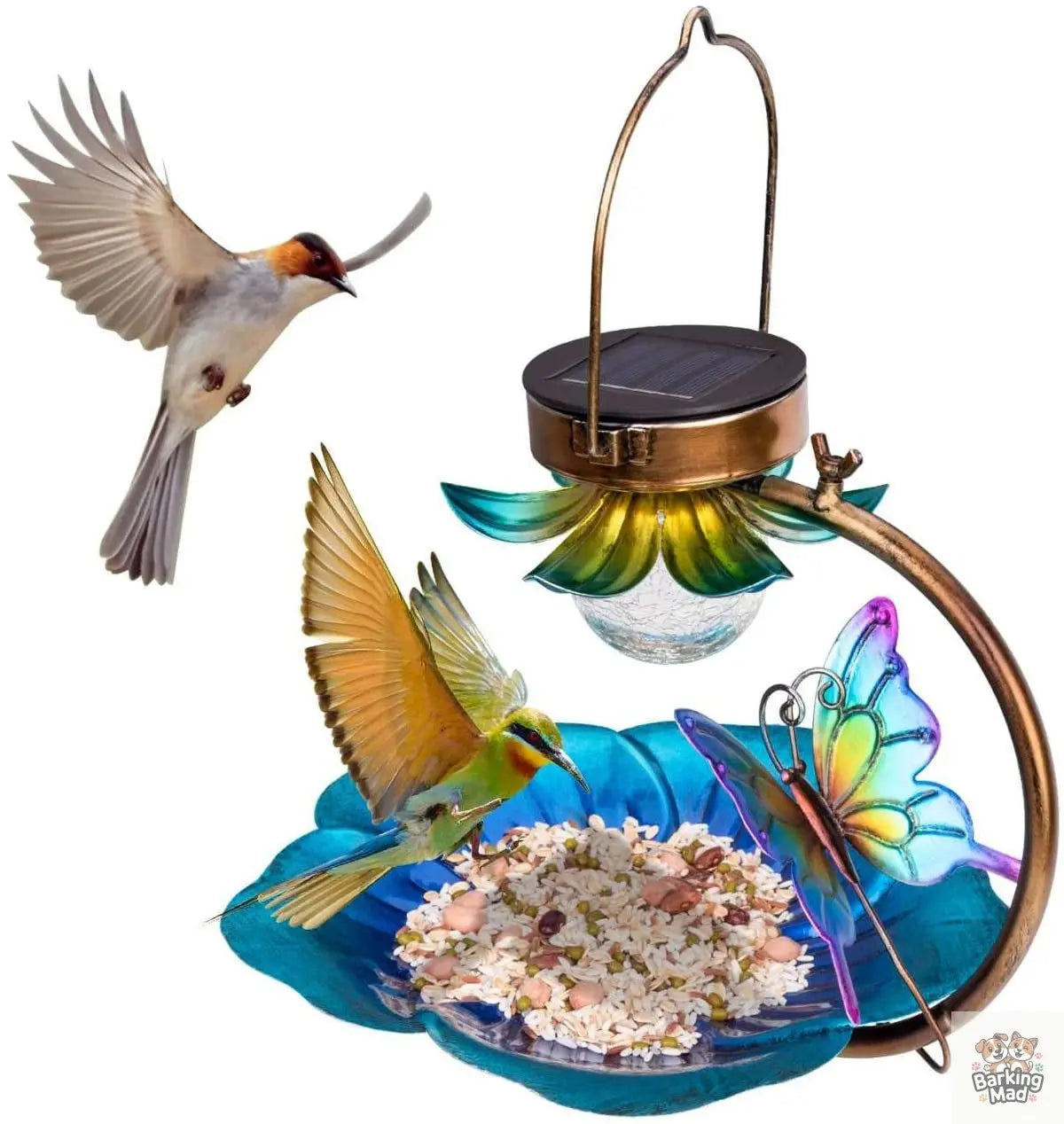 Solar Crack Ball Bird Feeder Barking Mad
