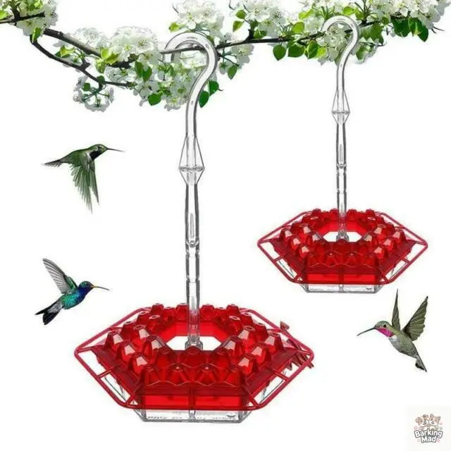 New Flower Hexagonal Bird Feeder Sensation Coneflower Bird Feeder Barking Mad