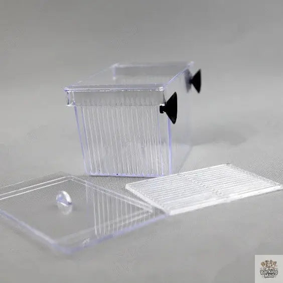 Acrylic Aquarium Fish Tank Incubation Box Barking Mad