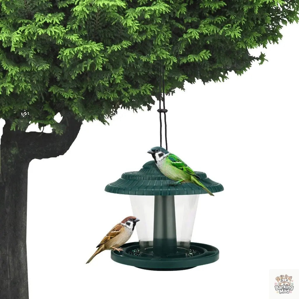 Plastic transparent bird feeder Barking Mad