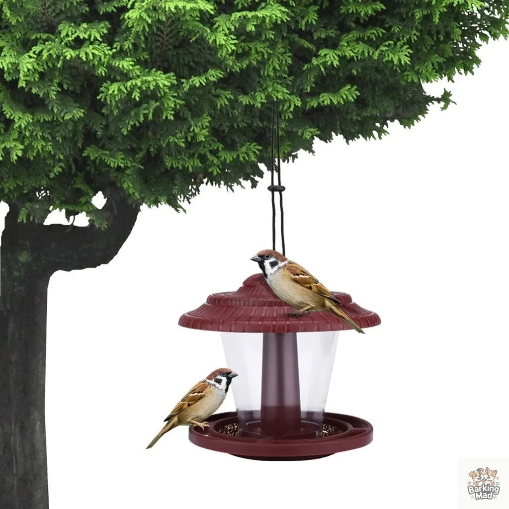 Plastic transparent bird feeder Barking Mad