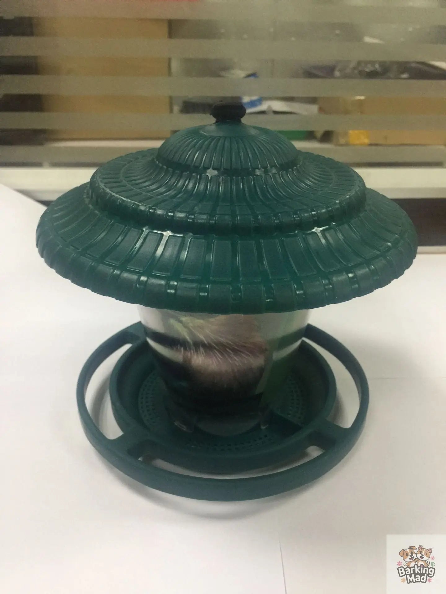 Plastic transparent bird feeder Barking Mad
