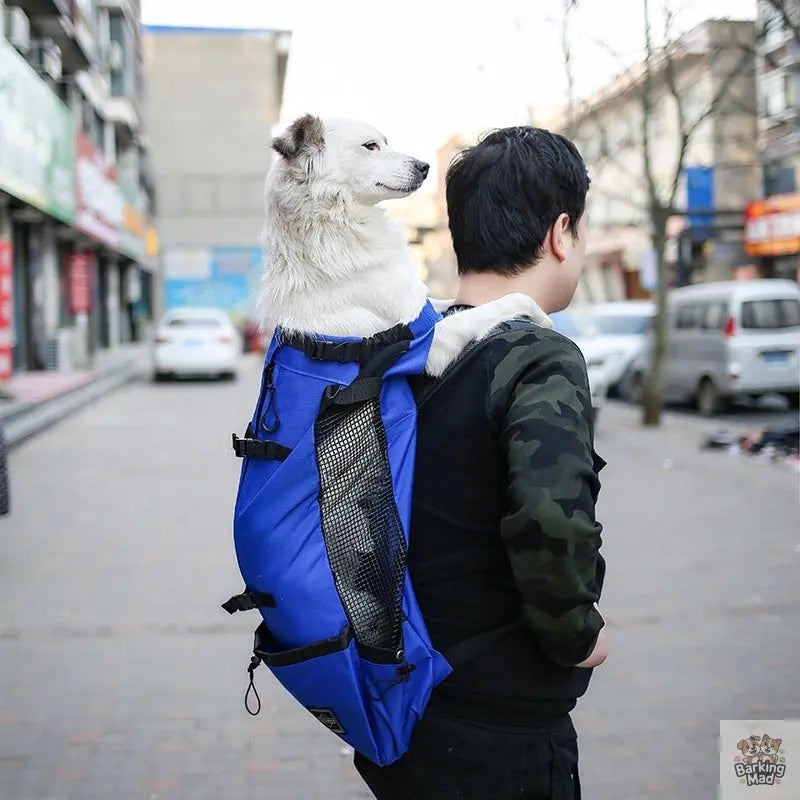 Pet Dog Carrier Bag Carrier For Dogs Backpack Out Double Shoulder Portable Travel Backpack Outdoor Dog Carrier Bag Travel - Barking Mad