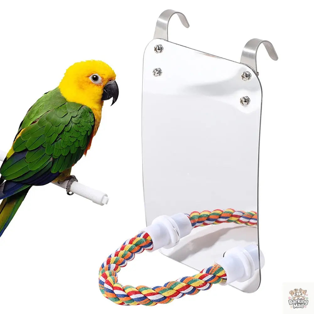 Parrot Toy Acrylic Bird With Mirror Barking Mad