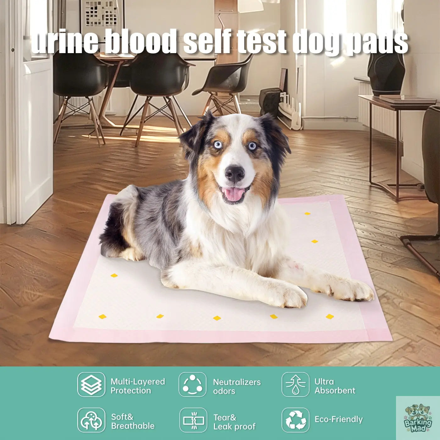 Dog Detection Urine Pad - Barking Mad