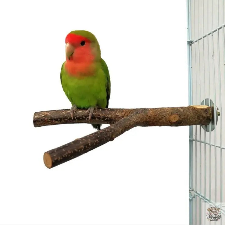 Bird Standing Frame Rattan Ring Chewing Toy Bird Cage Barking Mad