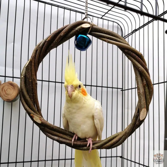 Bird Standing Frame Rattan Ring Chewing Toy Bird Cage Barking Mad