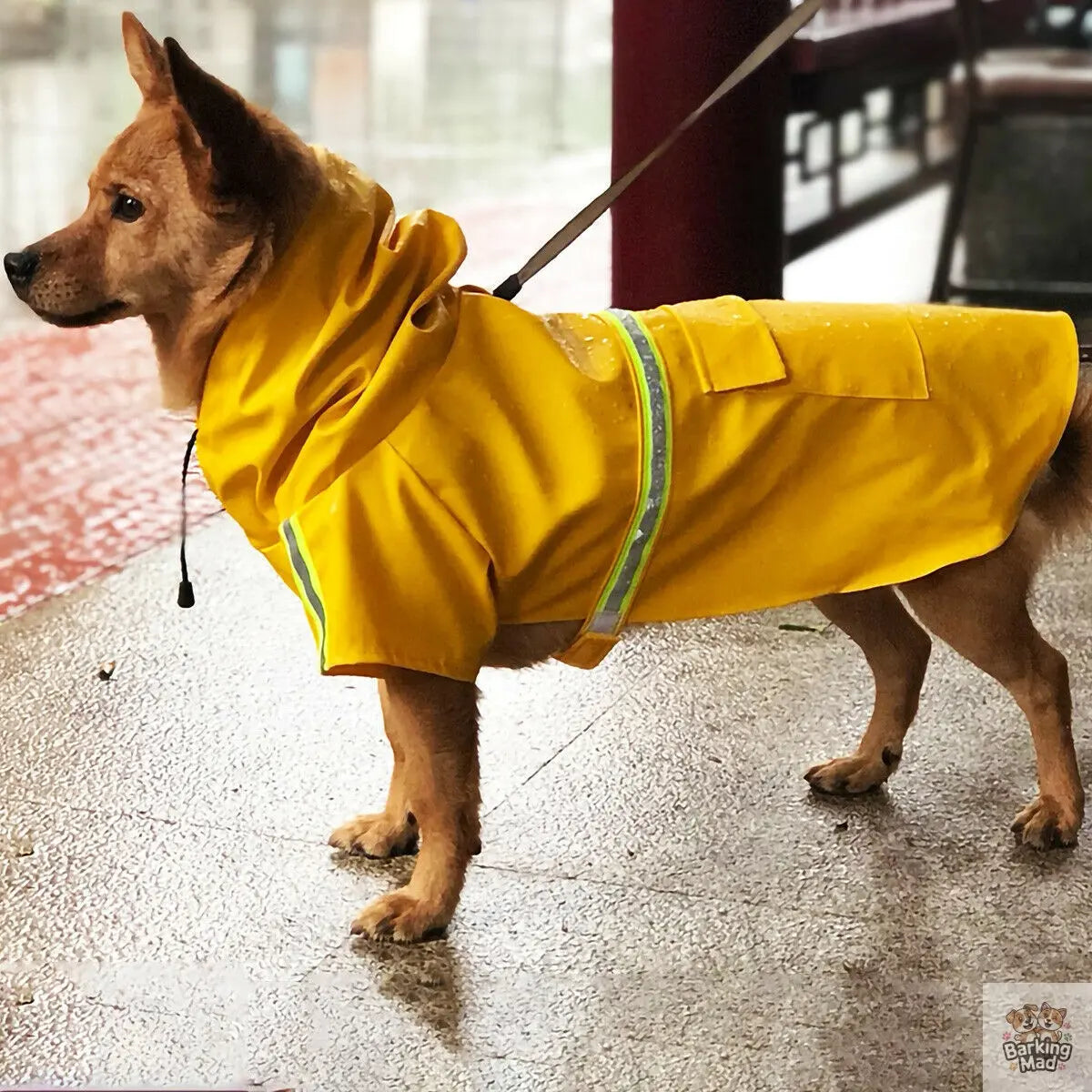 Dog Raincoat,Waterproof Dog Rain Jacket With Safety Reflective Stripe,Hooded Slicker Dachshund Doggy Dog Poncho With Leash For Dogs And Puppies Barking Mad