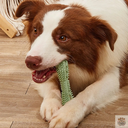 Chew Toys For Dog Teeth Cleaning - Barking Mad