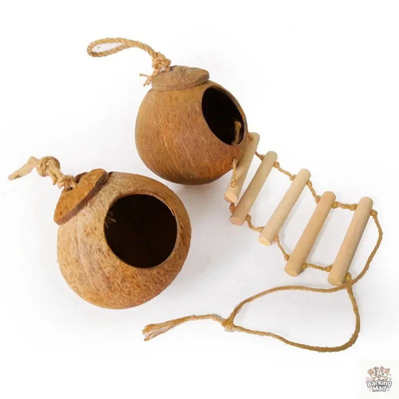 Natural coconut shell bird nest Barking Mad