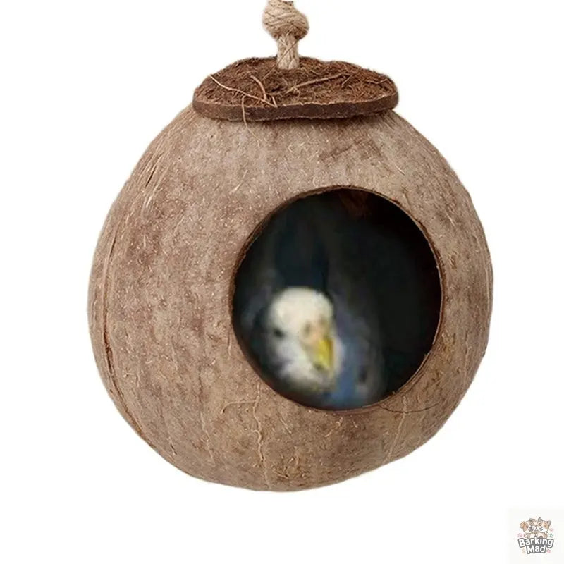 Natural coconut shell bird nest Barking Mad