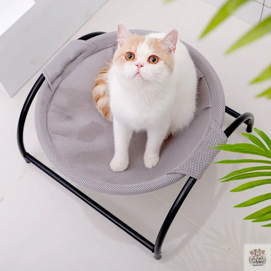 Pet camping bed Barking Mad