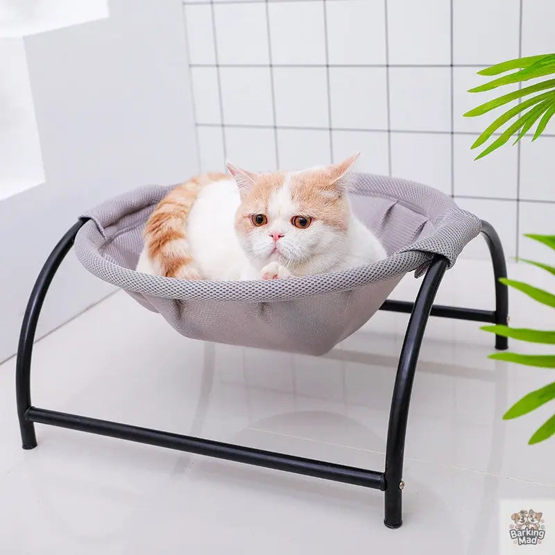 Pet camping bed Barking Mad