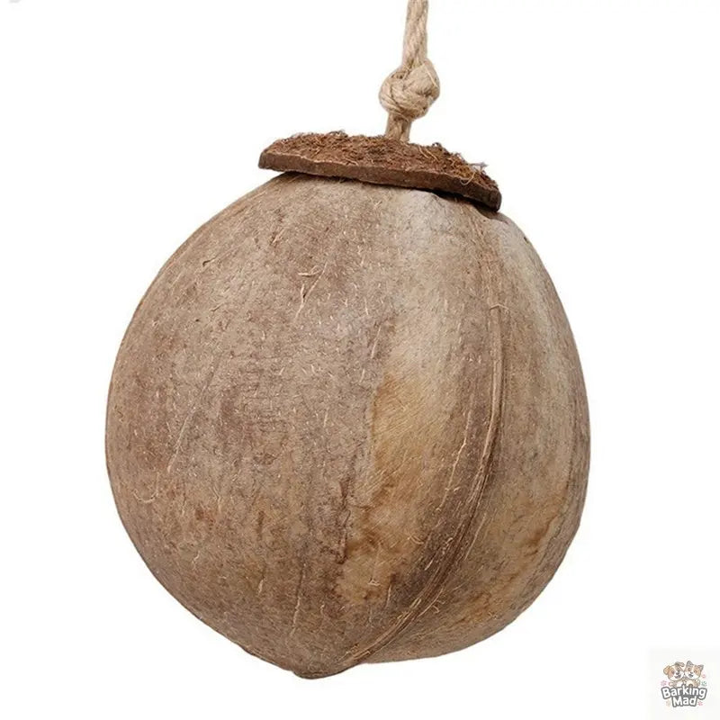 Natural coconut shell bird nest Barking Mad