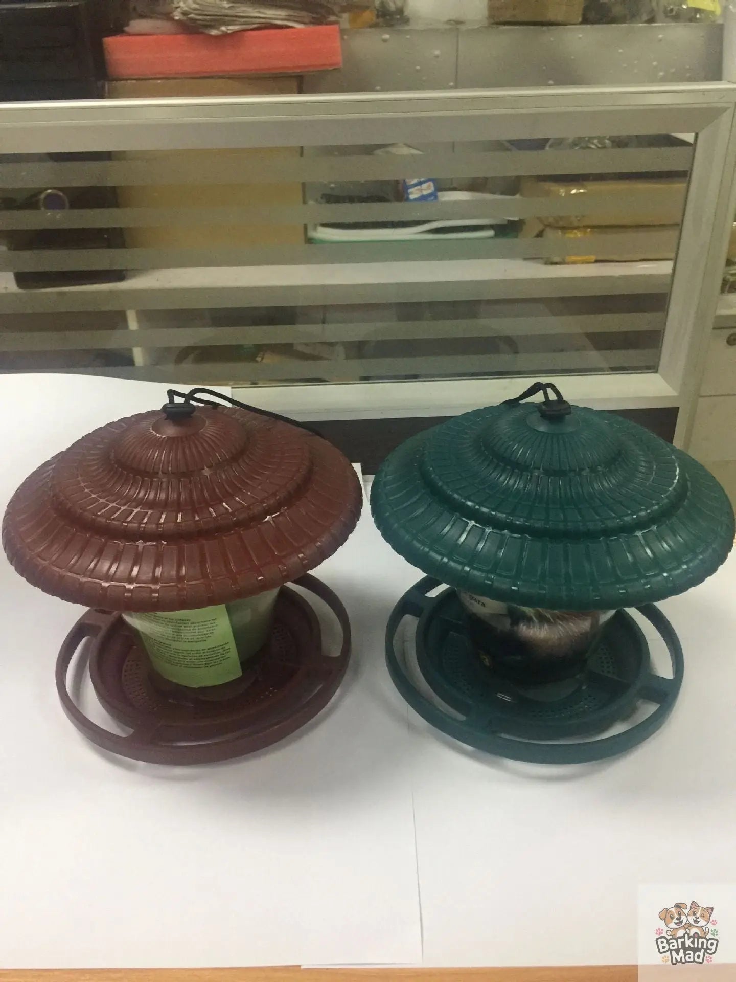 Plastic transparent bird feeder Barking Mad