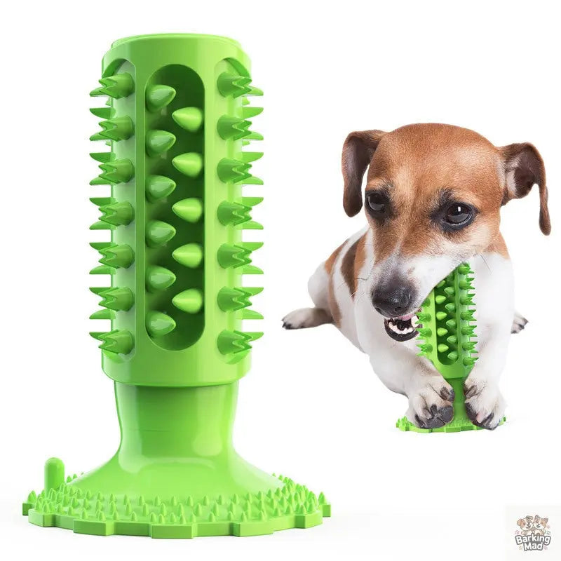Teeth Cleaning Dog Toothbrush Sucker Molar Stick Dog Bite Toy - Barking Mad