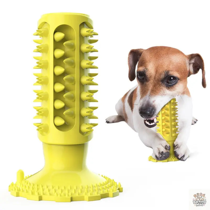 Teeth Cleaning Dog Toothbrush Sucker Molar Stick Dog Bite Toy - Barking Mad