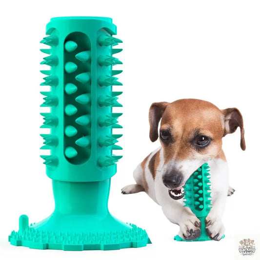 Teeth Cleaning Dog Toothbrush Sucker Molar Stick Dog Bite Toy - Barking Mad