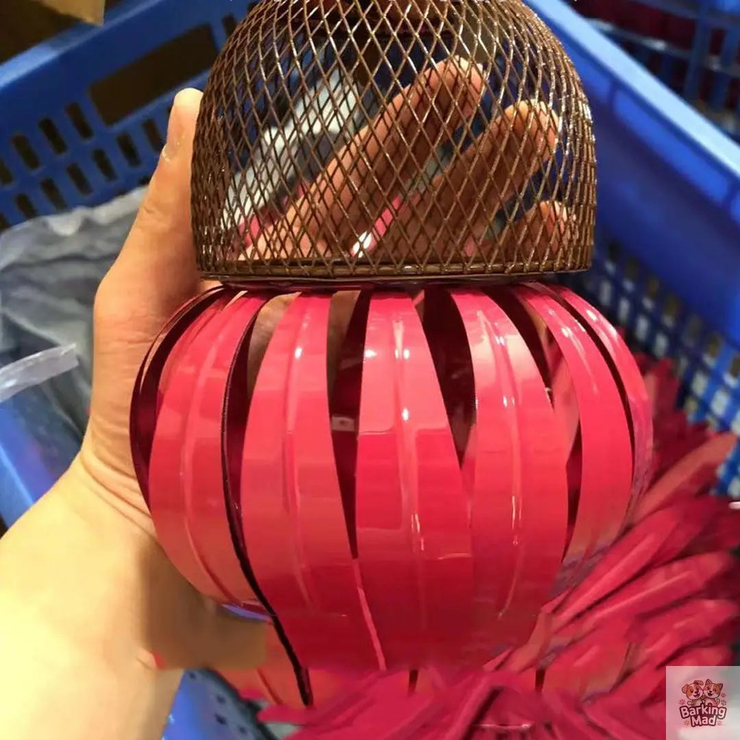 Garden Petal Shape Bird Feeder Barking Mad