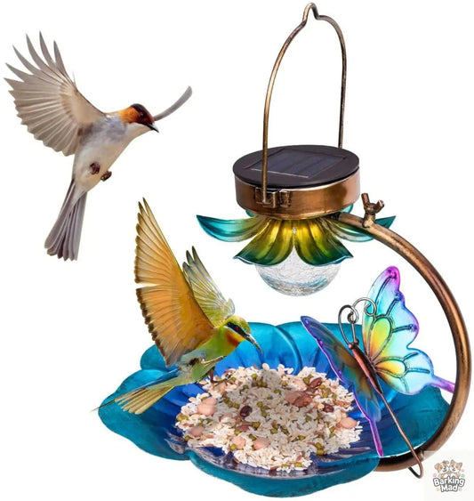 Solar Crack Ball Bird Feeder Barking Mad