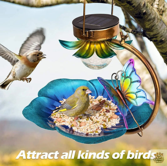 Solar Crack Ball Bird Feeder Barking Mad