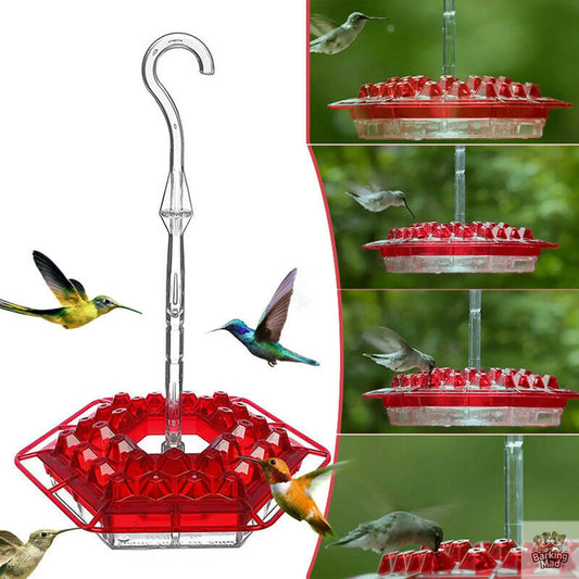 New Flower Hexagonal Bird Feeder Sensation Coneflower Bird Feeder Barking Mad
