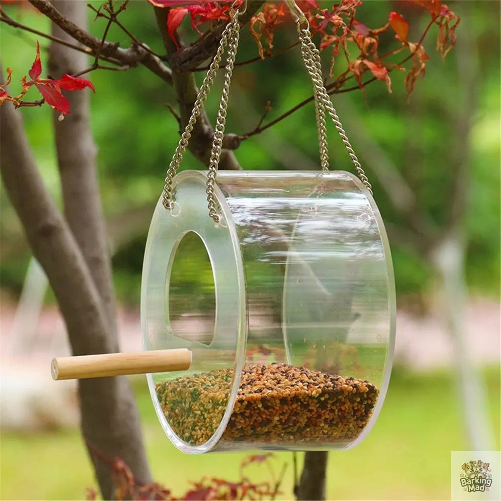 Acrylic Bird Food Box Barking Mad