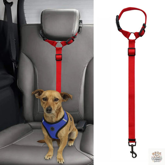 Pet safety leash Barking Mad