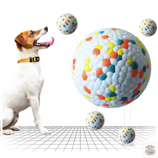 Dog Molars Pet Toy Ball Interactive Training Pet Play Ball Chew Molar Tooth Cleaning Toys Bite Resistant Dog Toys - Barking Mad