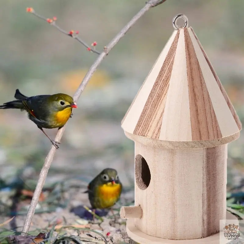 Wooden outdoor bird nest Barking Mad