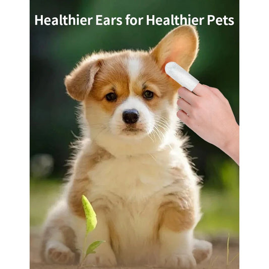 Pet Cleaning Products Eye Wipes To Remove Tear Marks Cleaning Wet Tissues Cat Wiping Eyes Removing Tear Marks And Cleaning Pet Barking Mad