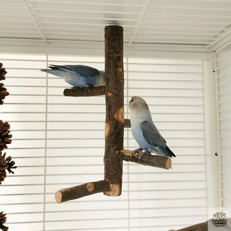 Parrot Bird Wood Stand Pole Toy Barking Mad