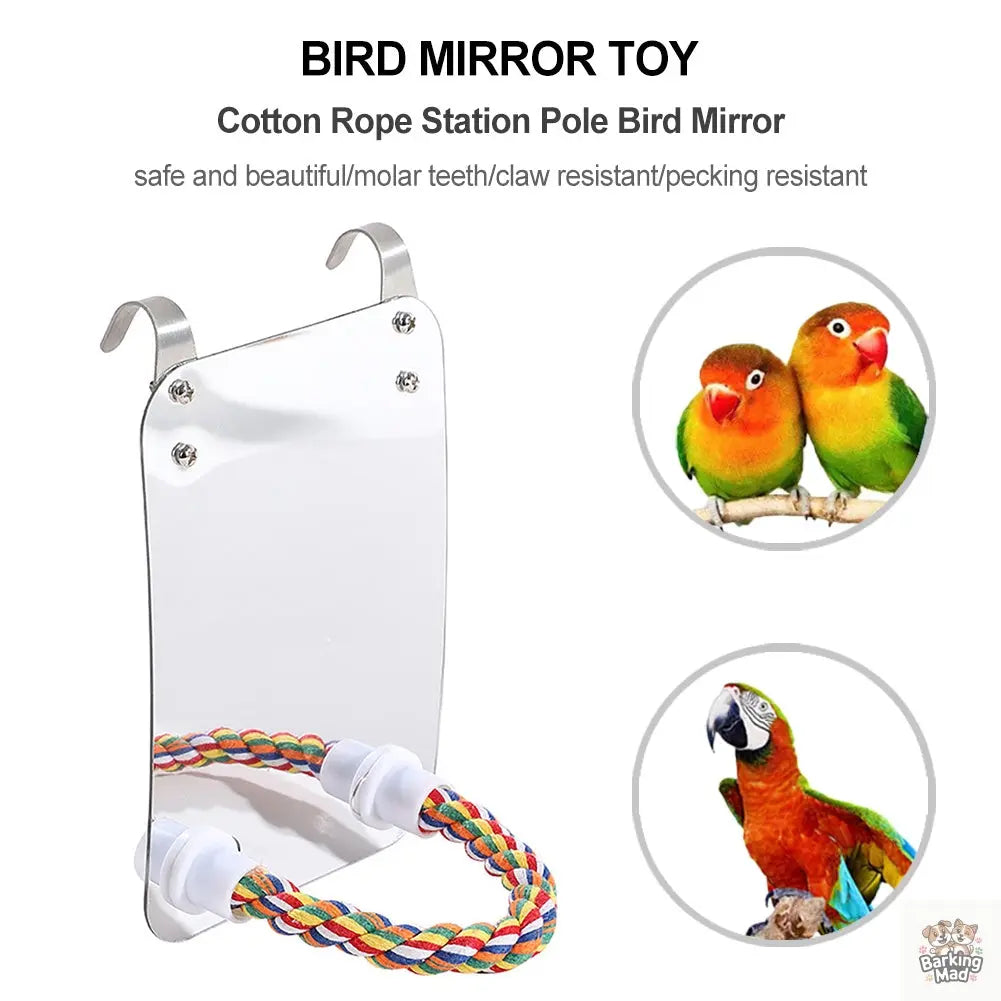 Parrot Toy Acrylic Bird With Mirror Barking Mad