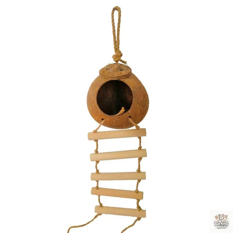 Natural coconut shell bird nest Barking Mad
