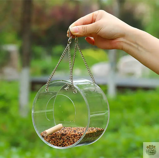 Acrylic Bird Food Box Barking Mad