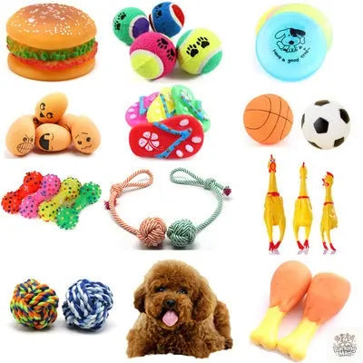 Pet dog toy ball - Barking Mad