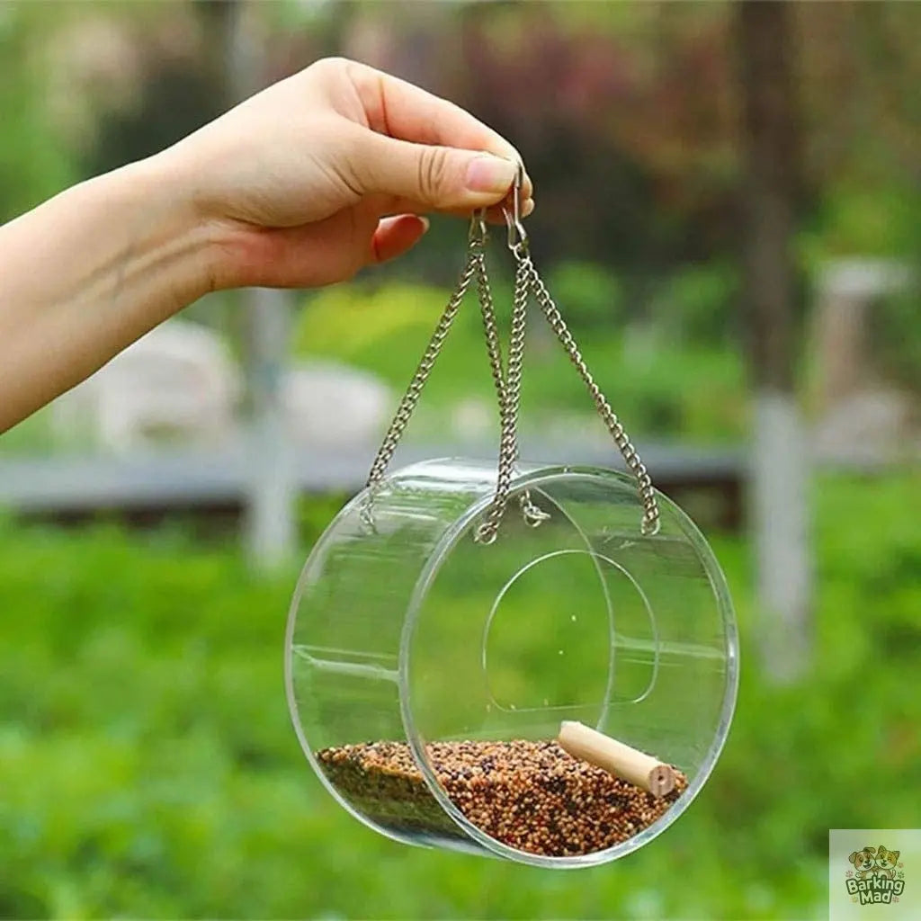 Acrylic Bird Food Box Barking Mad