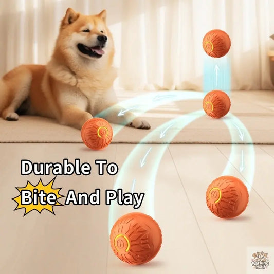 Pets Electric Jumping Ball Automatic Dog-teasing Luminous Pet Products Pets Dogs Training Products Ball Toys For Dogs Resistance - Barking Mad