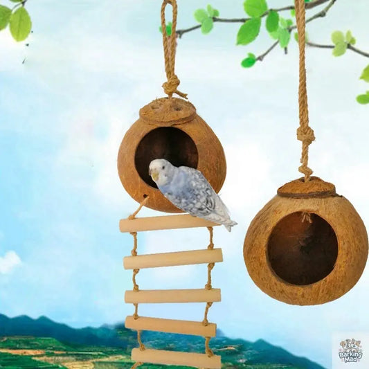 Natural coconut shell bird nest Barking Mad
