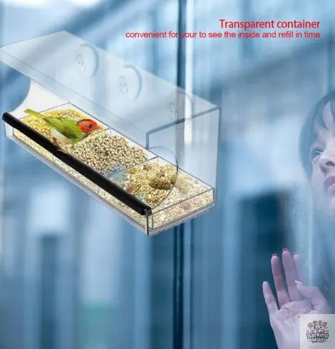 New acrylic bird feeder Barking Mad