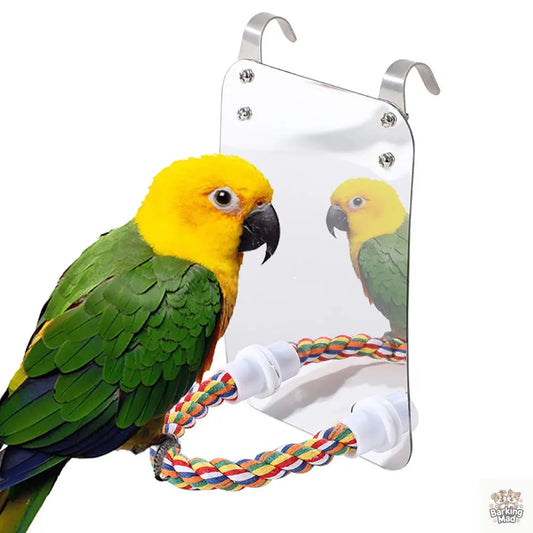 Parrot Toy Acrylic Bird With Mirror Barking Mad