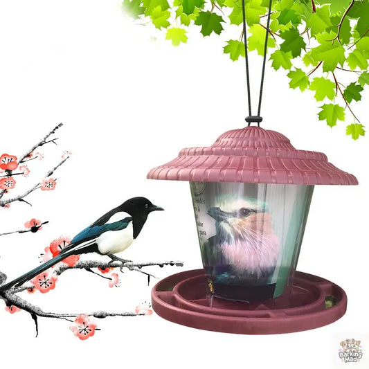 Plastic transparent bird feeder Barking Mad