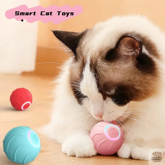 Smart Cat Toys Rolling Ball Pet Cat Owner Interactive Pets Toys Automatic Bouncing Ball USB Self Hi Teasing Kittens Jumping Ball - Barking Mad