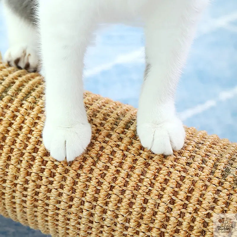 Cat scratcher claw sharpener - Barking Mad