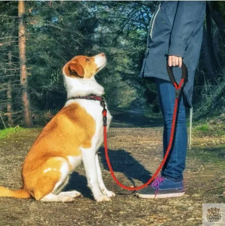Reflective Dog Leash Nylon Pet Dog Leash Rope For Small Medium Large Dogs Walking Training Pet Suppiles Barking Mad