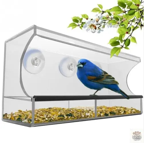 New acrylic bird feeder Barking Mad