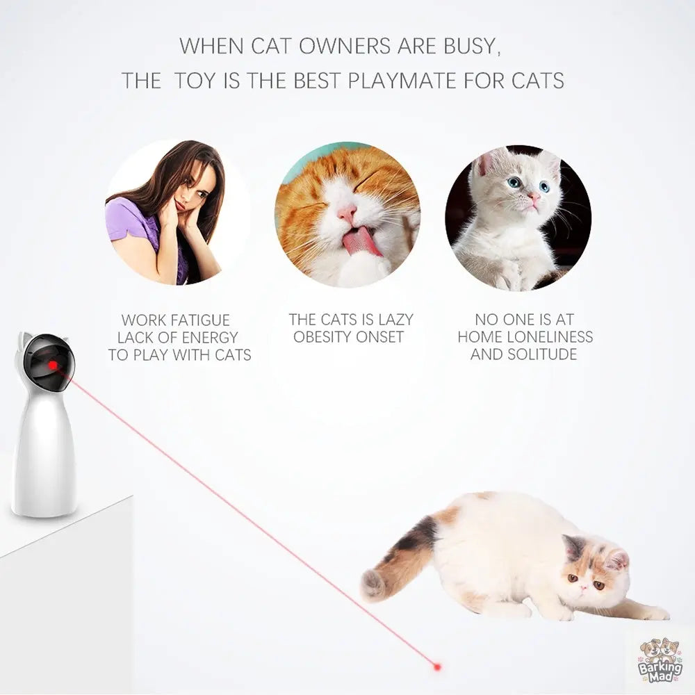 Creative Cat Pet LED Laser Funny Toy Smart Automatic Cat Exercise Training Entertaining Toy - Barking Mad