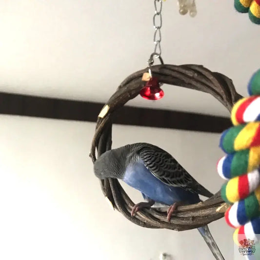 Bird Standing Frame Rattan Ring Chewing Toy Bird Cage Barking Mad